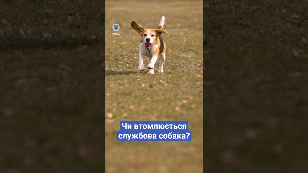❓ Чи втомлююсь я