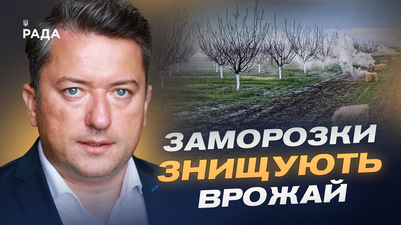 Заморозки ЗНИЩУЮТЬ врожай: що буде з цінами на фрукти та зерно? | Дмитро Соломчук