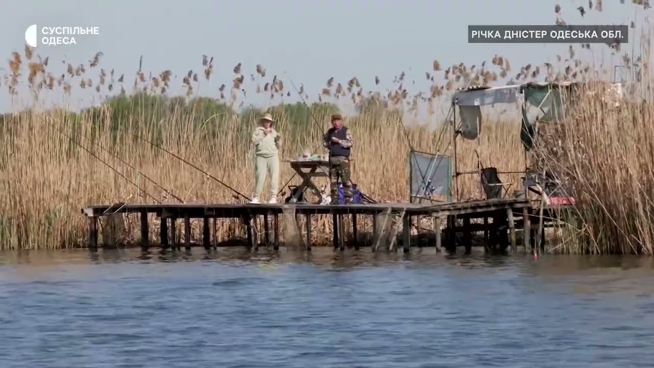 Як рибалити під час нерестової заборони, щоб не порушувати правила