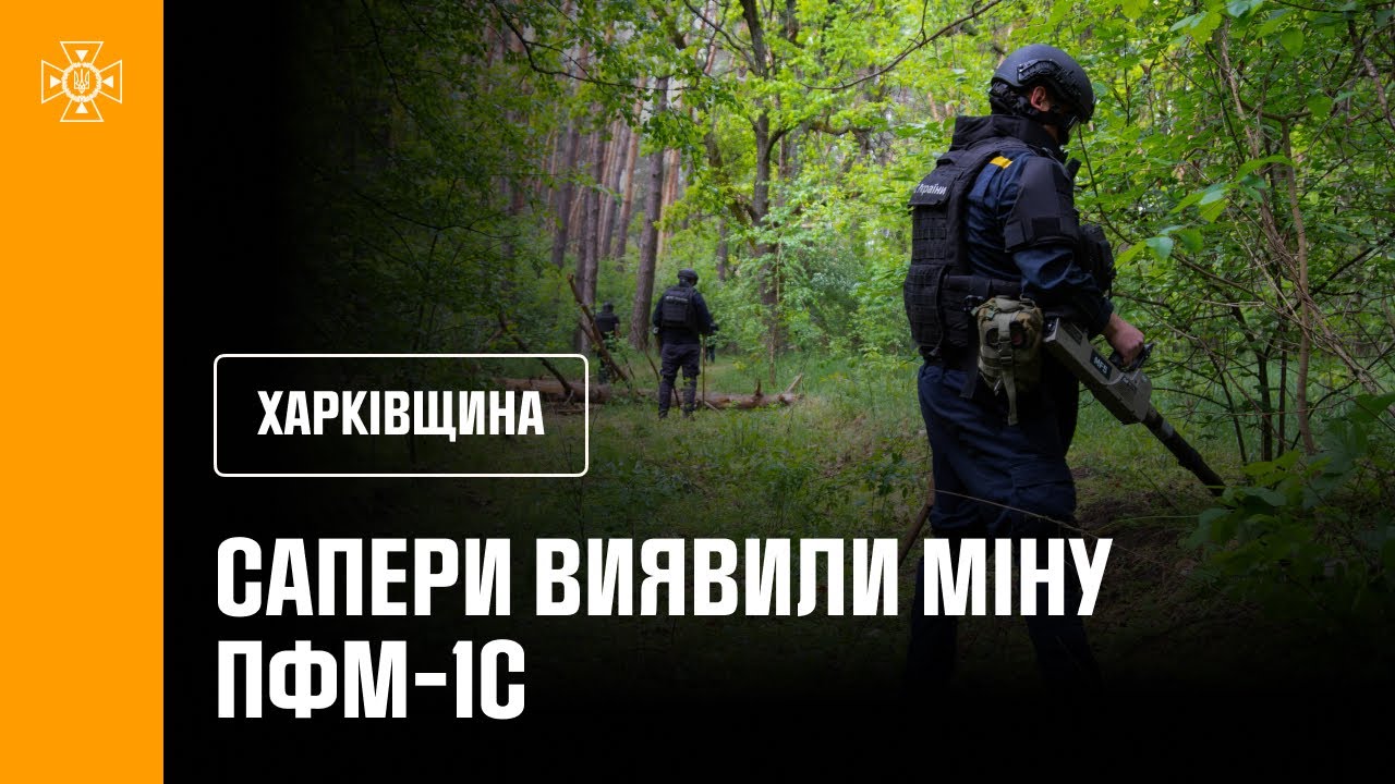Сапери ДСНС розміновують ліси Ізюмщини: знайдено «пелюстку»