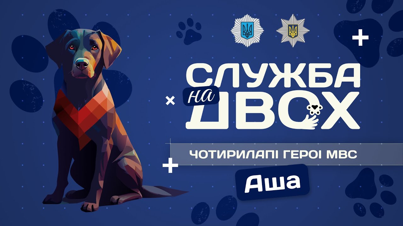 🚨 АША - поліцейська собака-універсал | Служба на двох