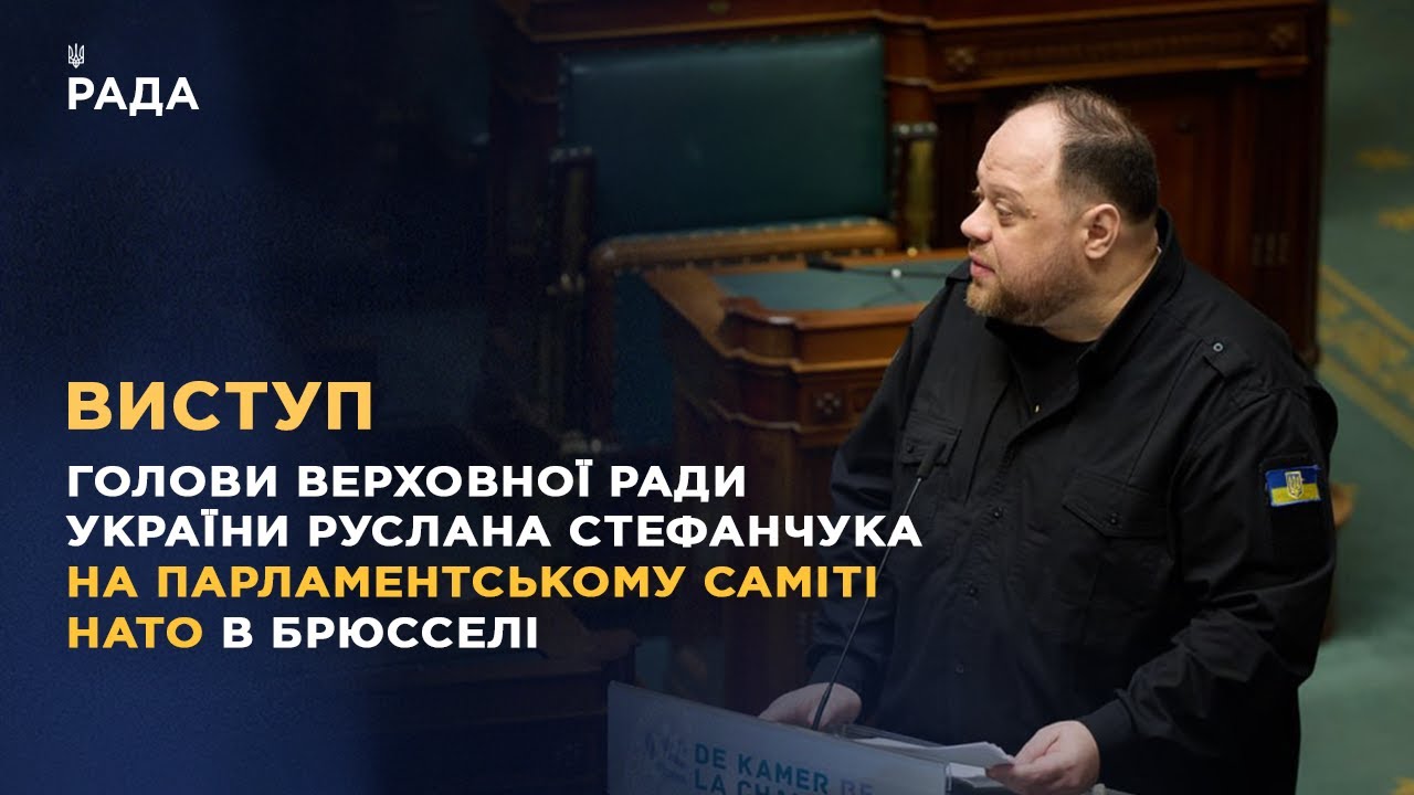 Виступ Руслана Стефанчука на Парламентському саміті НАТО в Брюсселі
