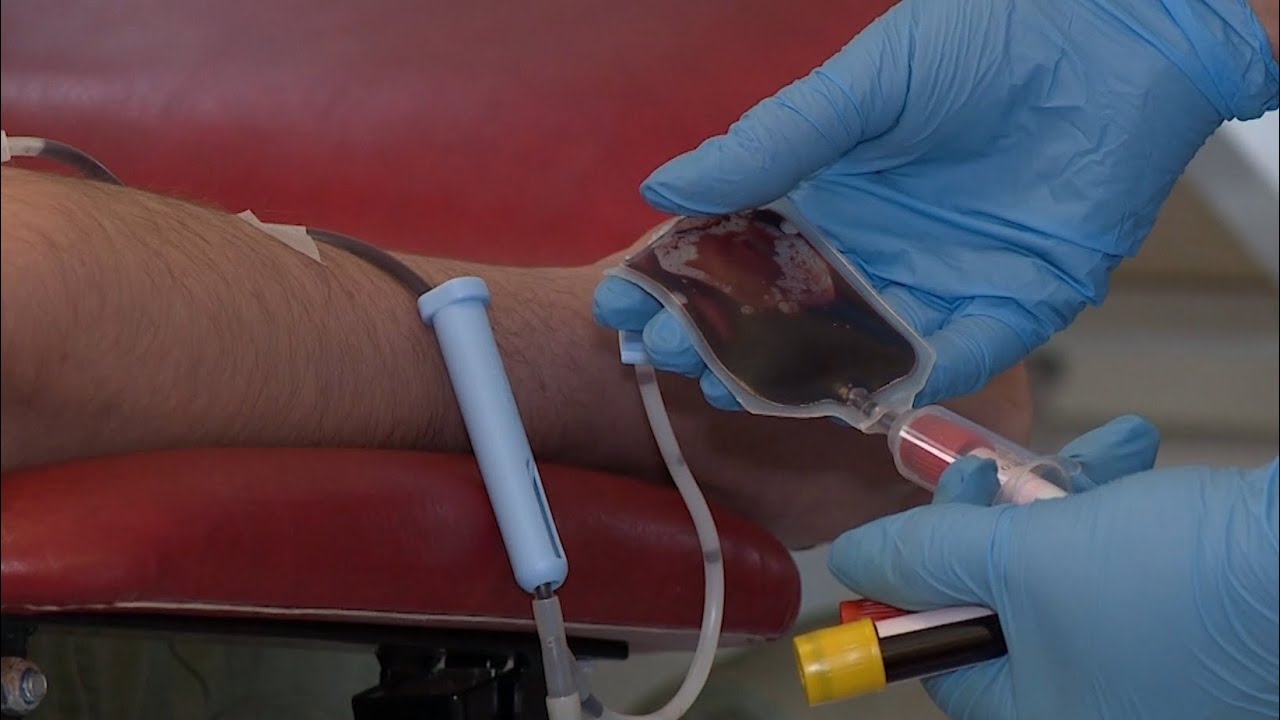 День донора у столиці