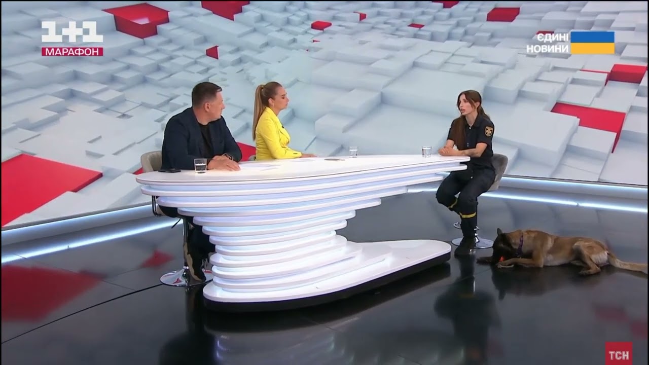 75 чотирилапих рятувальників працюють у складі ДСНС України