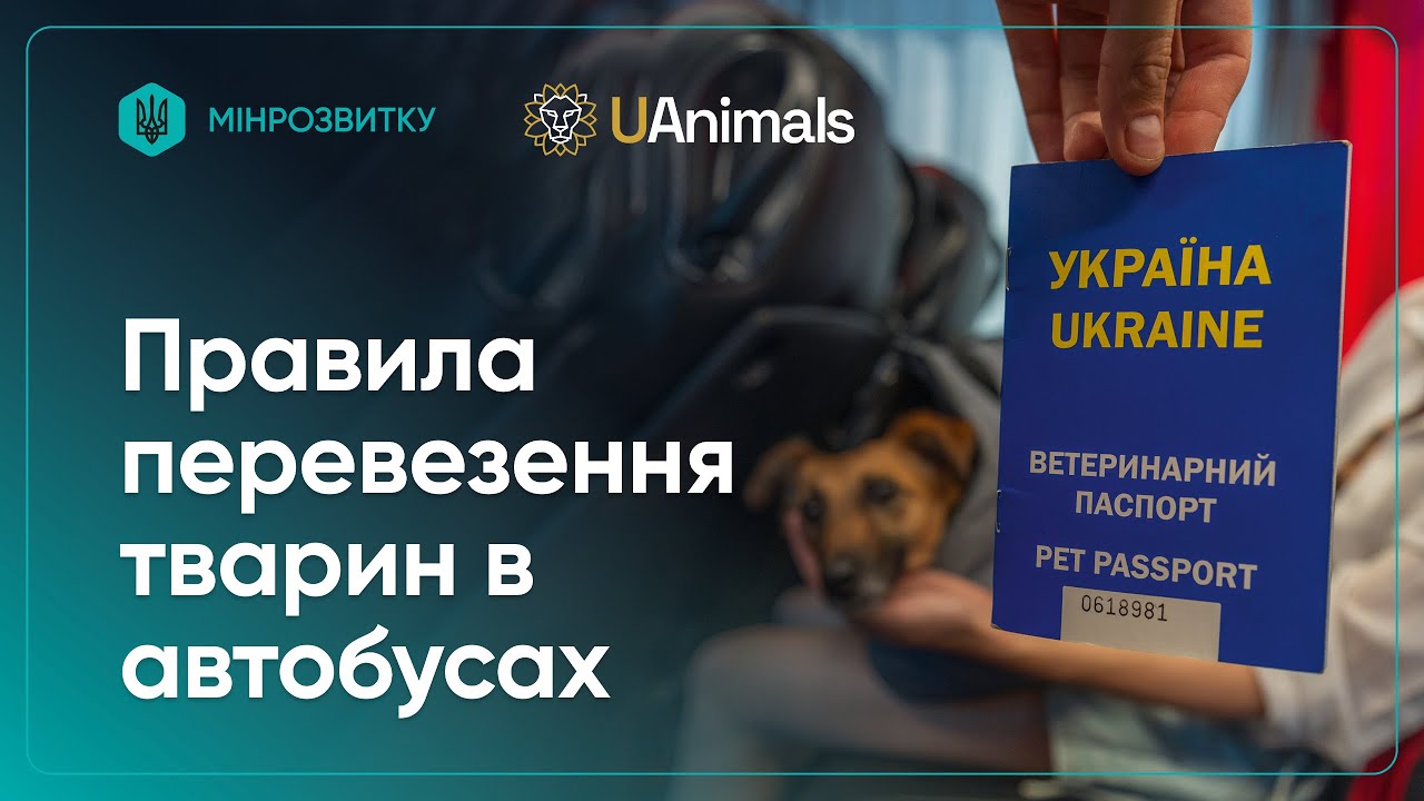 Правила перевезення домашніх тварин в автобусах: пояснює Рижуля