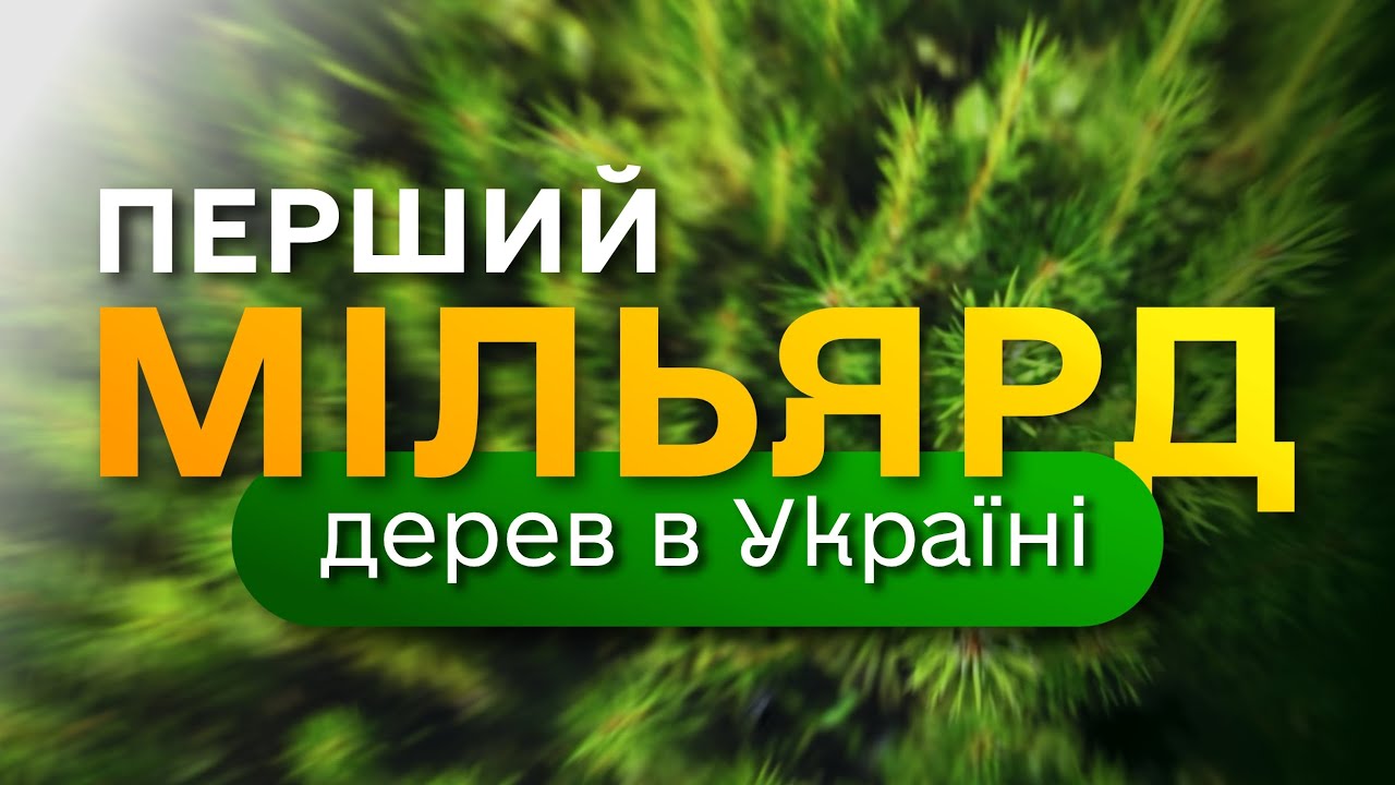 МІЛЬЯРД дерев в Україні / програма Президента ЗЕЛЕНА КРАЇНА / як ДП "Ліси України" вирощує сіянці