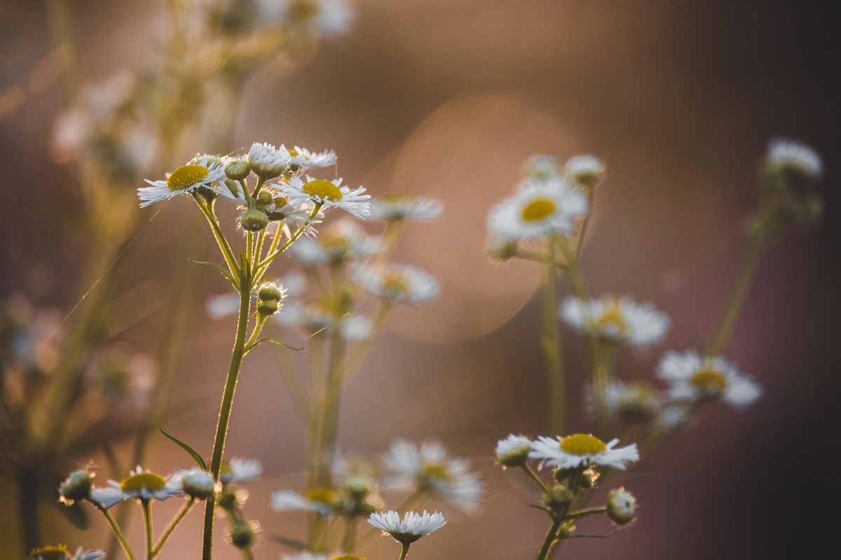Новини культури - Гороскоп для всіх знаків зодіаку на вихідні 6-7 вересня 2025 року